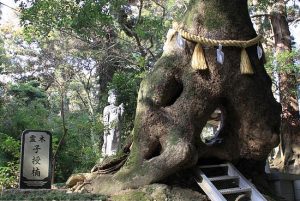 笠森の境内