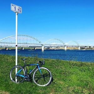 江戸川河川敷のサイクリングロード