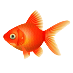 金魚アイコン