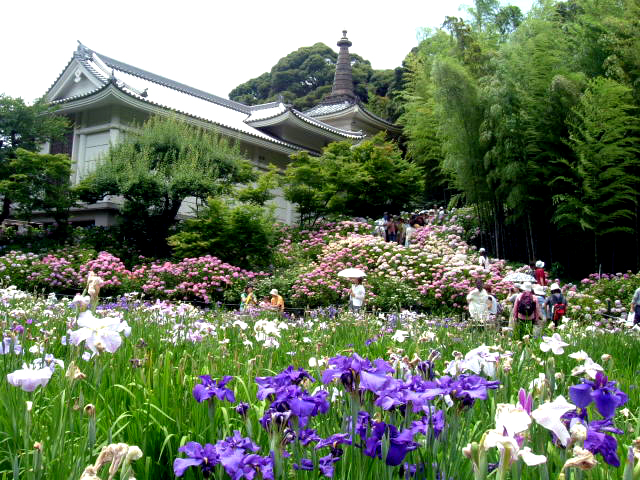 本土寺02