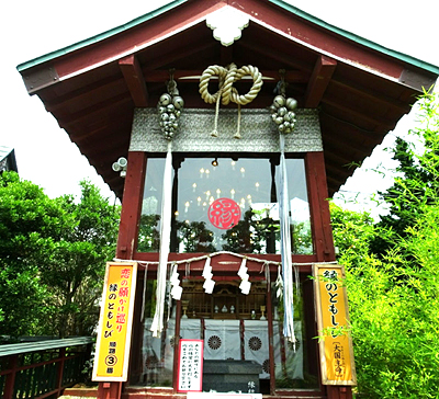 緑のともしび大国命