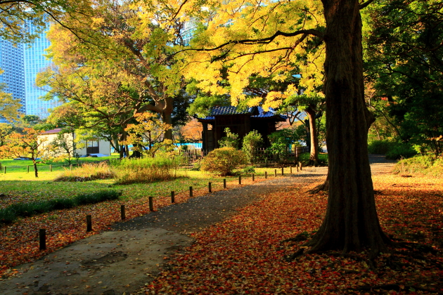 浜離宮恩賜庭園6