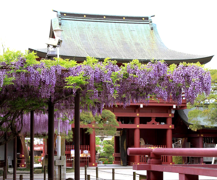 笠間稲荷神社