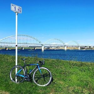 江戸川河川敷のサイクリングロード