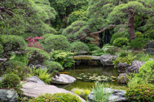 山本亭庭園