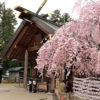 開成山大神宮