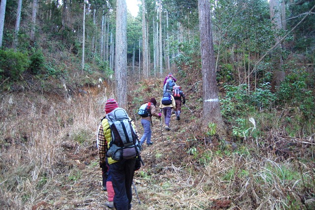 登山